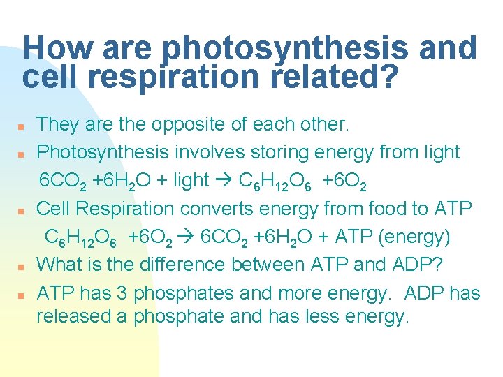 How are photosynthesis and cell respiration related? n n n They are the opposite