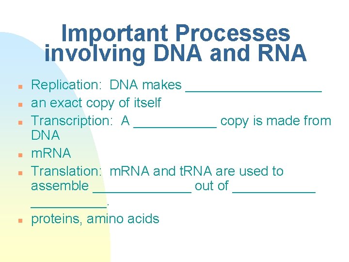 Important Processes involving DNA and RNA n n n Replication: DNA makes _________ an
