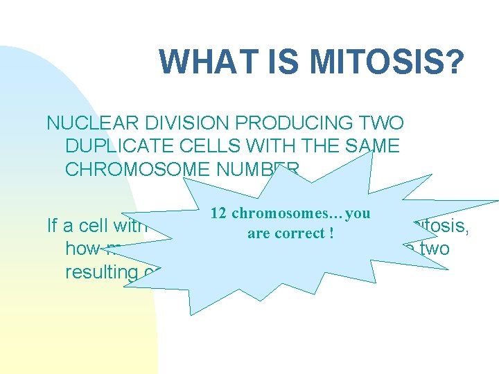 WHAT IS MITOSIS? NUCLEAR DIVISION PRODUCING TWO DUPLICATE CELLS WITH THE SAME CHROMOSOME NUMBER