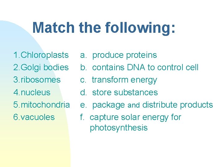 Match the following: 1. Chloroplasts 2. Golgi bodies 3. ribosomes 4. nucleus 5. mitochondria