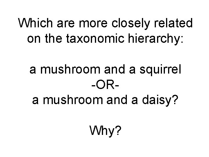 Which are more closely related on the taxonomic hierarchy: a mushroom and a squirrel Which are more closely related on the taxonomic hierarchy: a mushroom and a squirrel