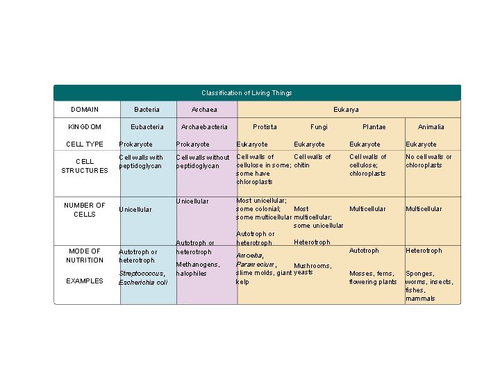 Classification of Living Things DOMAIN Bacteria Archaea KINGDOM Eubacteria Archaebacteria CELL TYPE CELL STRUCTURES Classification of Living Things DOMAIN Bacteria Archaea KINGDOM Eubacteria Archaebacteria CELL TYPE CELL STRUCTURES