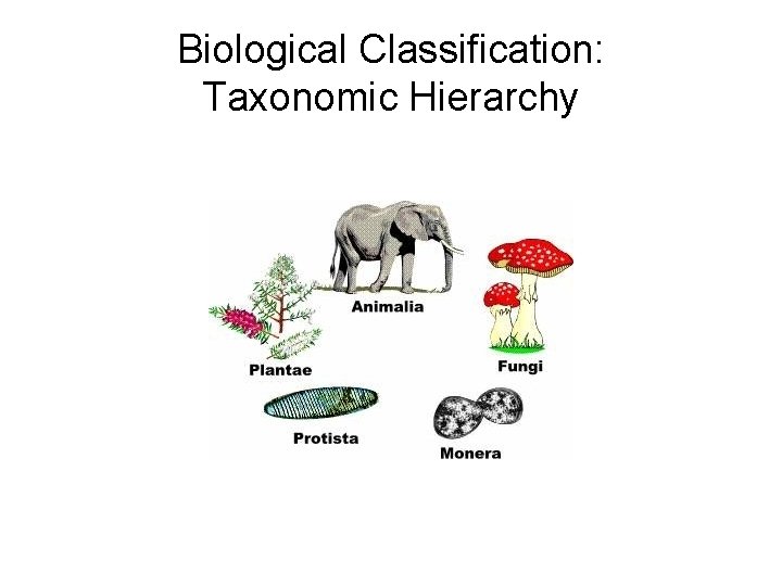 Biological Classification: Taxonomic Hierarchy Biological Classification: Taxonomic Hierarchy