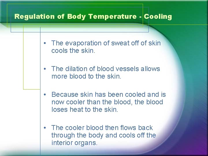 Regulation of Body Temperature - Cooling • The evaporation of sweat off of skin