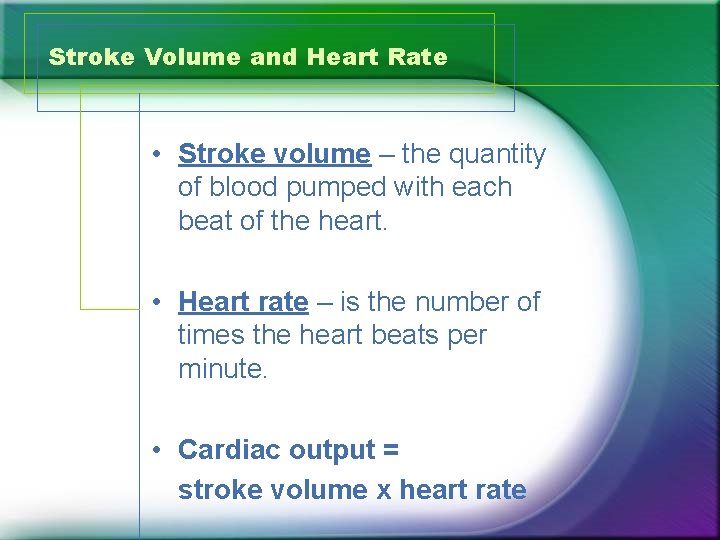 Stroke Volume and Heart Rate • Stroke volume – the quantity of blood pumped