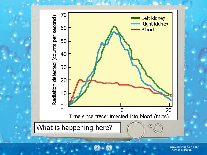 Radiation detected (counts per second) 70 Left kidney Right kidney Blood 60 50 40