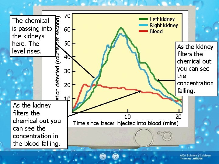 Radiation detected (counts per second) The chemical is passing into the kidneys here. The