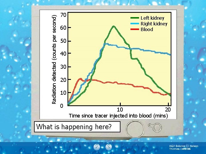 Radiation detected (counts per second) 70 Left kidney Right kidney Blood 60 50 40