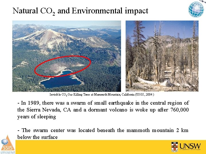 Natural CO 2 and Environmental impact Invisible CO 2 Gas Killing Trees at Mammoth
