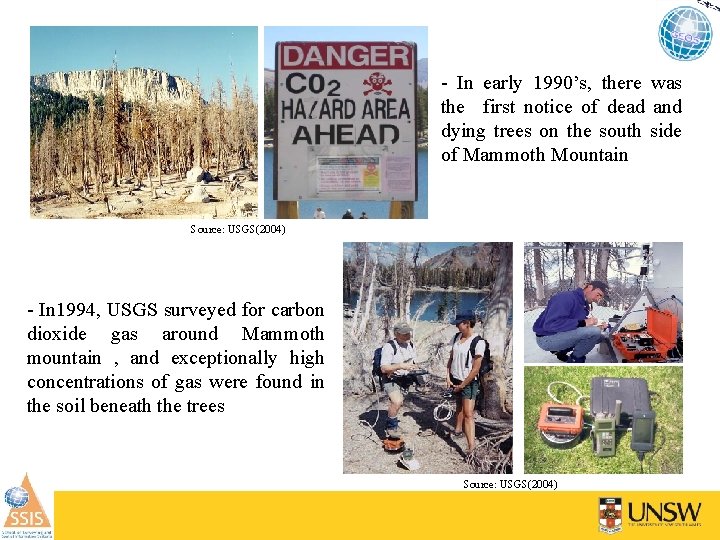 - In early 1990’s, there was the first notice of dead and dying trees