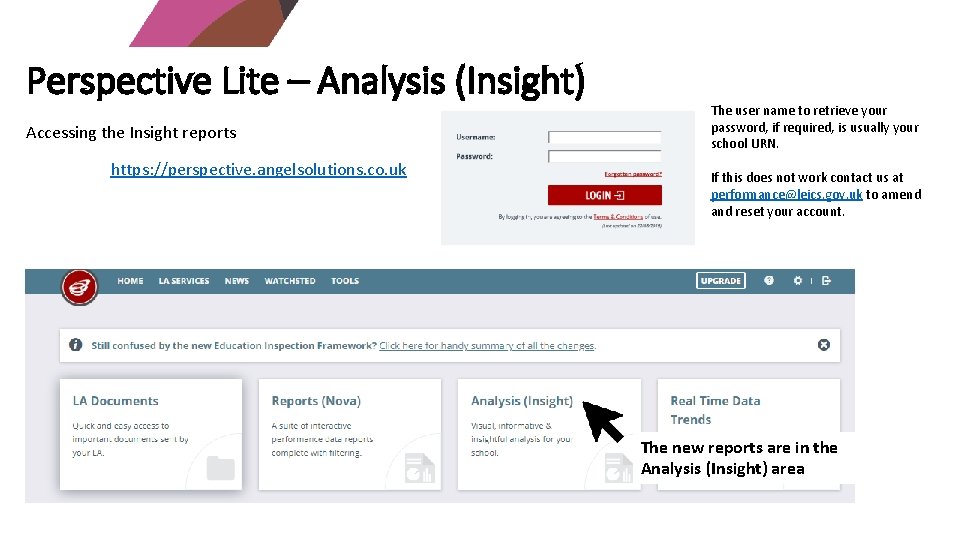 Perspective Lite – Analysis (Insight) Accessing the Insight reports https: //perspective. angelsolutions. co. uk