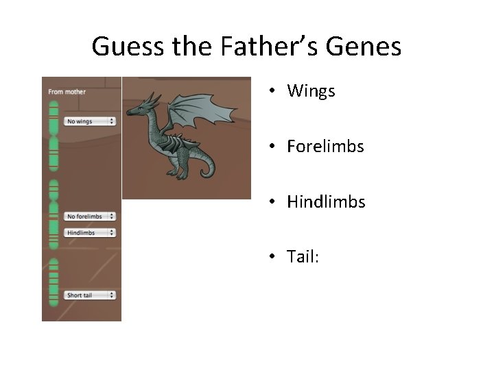 Guess the Father’s Genes • Wings • Forelimbs • Hindlimbs • Tail: 
