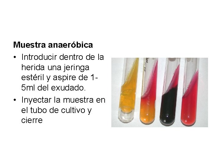 Muestra anaeróbica • Introducir dentro de la herida una jeringa estéril y aspire de