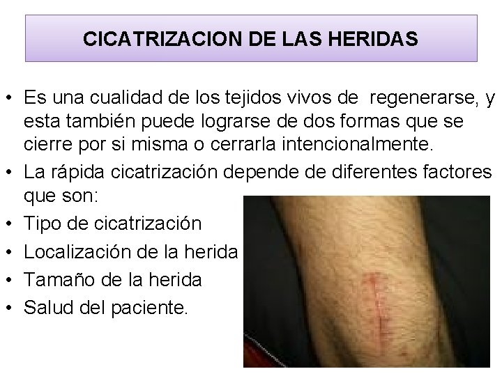 CICATRIZACION DE LAS HERIDAS • Es una cualidad de los tejidos vivos de regenerarse,