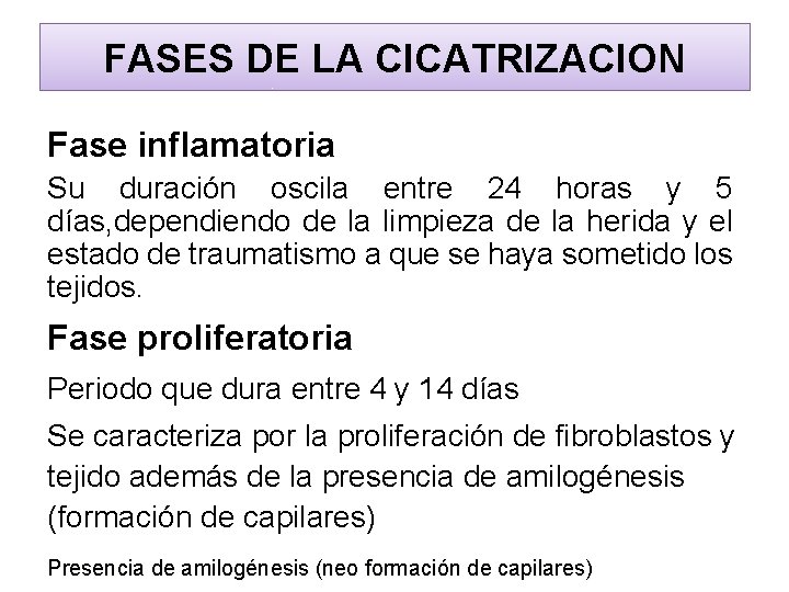 FASES DE LA CICATRIZACION Fase inflamatoria Su duración oscila entre 24 horas y 5