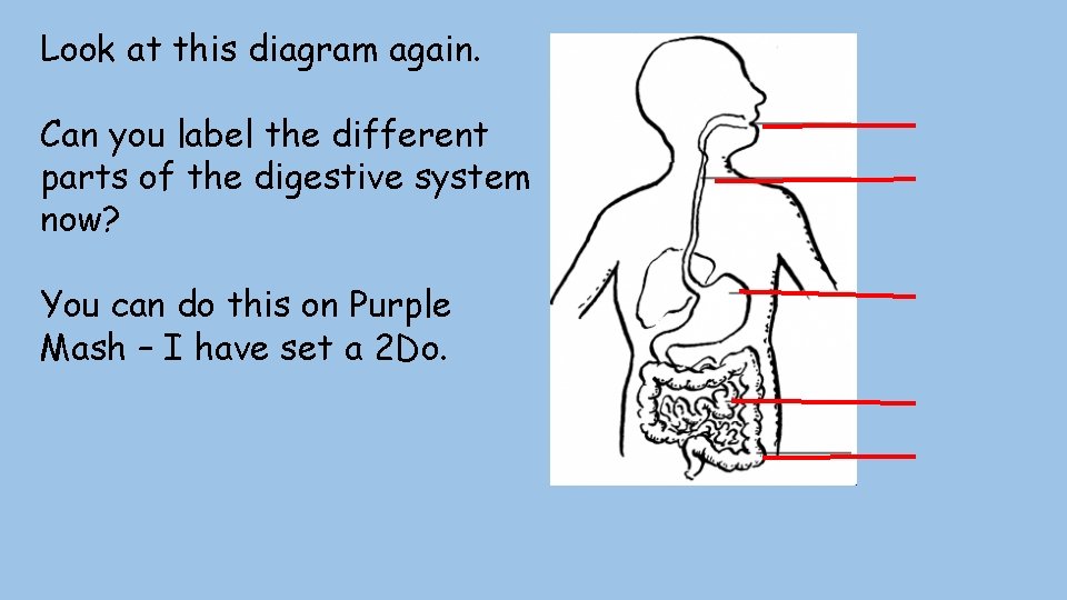 Look at this diagram again. Can you label the different parts of the digestive
