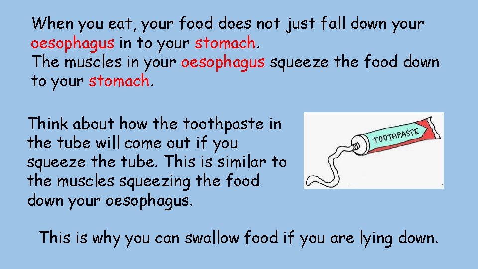 When you eat, your food does not just fall down your oesophagus in to