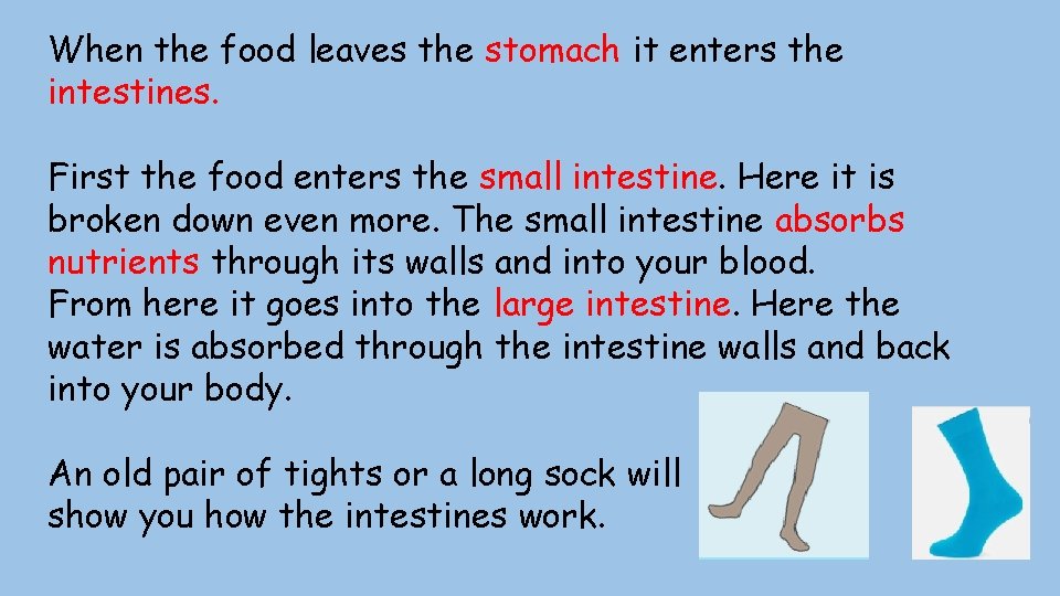 When the food leaves the stomach it enters the intestines. First the food enters