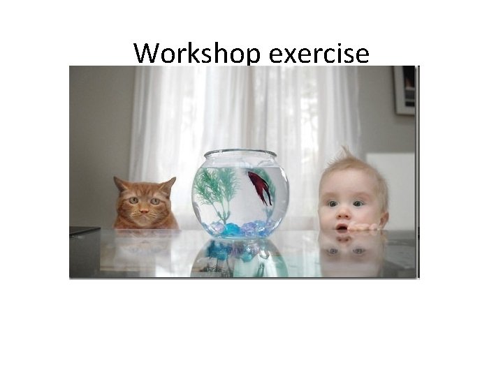 Workshop exercise  Workshop exercise