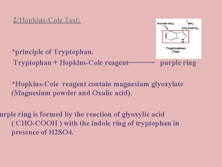 2/Hopkins-Cole Test: *principle of Tryptophan + Hopkins-Cole reagent purple ring *Hopkins-Cole reagent contain magnesium