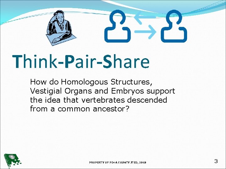 Think-Pair-Share How do Homologous Structures, Vestigial Organs and Embryos support the idea that vertebrates