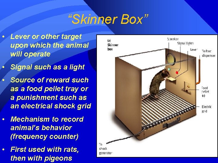 “Skinner Box” • Lever or other target upon which the animal will operate •