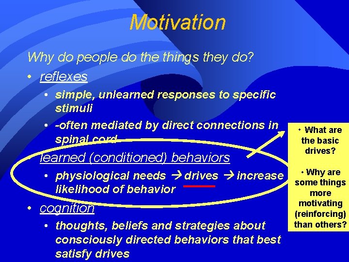 Motivation Why do people do the things they do? • reflexes • simple, unlearned