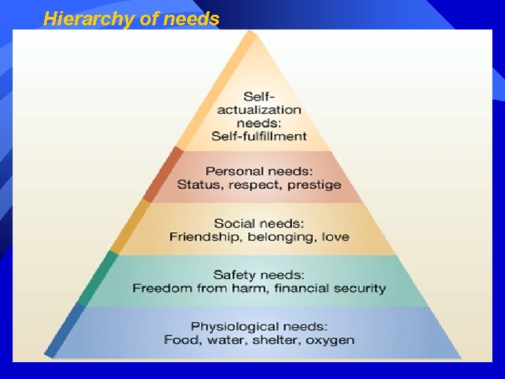 Hierarchy of needs 