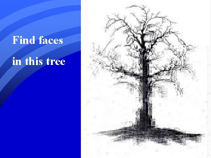 Find faces in this tree 