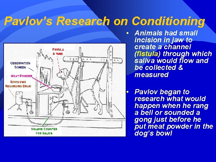 Pavlov’s Research on Conditioning • Animals had small incision in jaw to create a