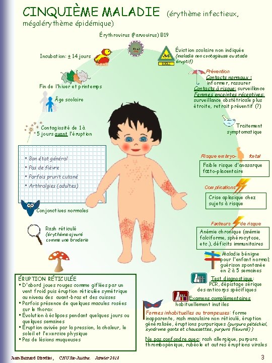 CINQUIÈME MALADIE mégalérythème épidémique) (érythème infectieux, Érythrovirus (Parvovirus) B 19 Éviction scolaire non indiquée CINQUIÈME MALADIE mégalérythème épidémique) (érythème infectieux, Érythrovirus (Parvovirus) B 19 Éviction scolaire non indiquée
