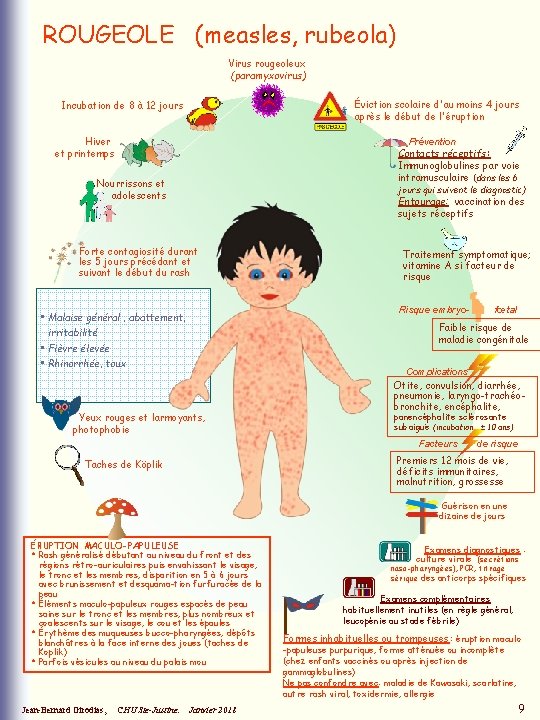 ROUGEOLE (measles, rubeola) Virus rougeoleux (paramyxovirus) Éviction scolaire d'au moins 4 jours après le ROUGEOLE (measles, rubeola) Virus rougeoleux (paramyxovirus) Éviction scolaire d'au moins 4 jours après le