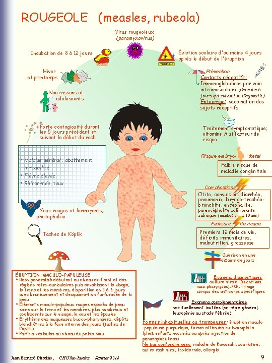 ROUGEOLE (measles, rubeola) Virus rougeoleux (paramyxovirus) Éviction scolaire d'au moins 4 jours après le