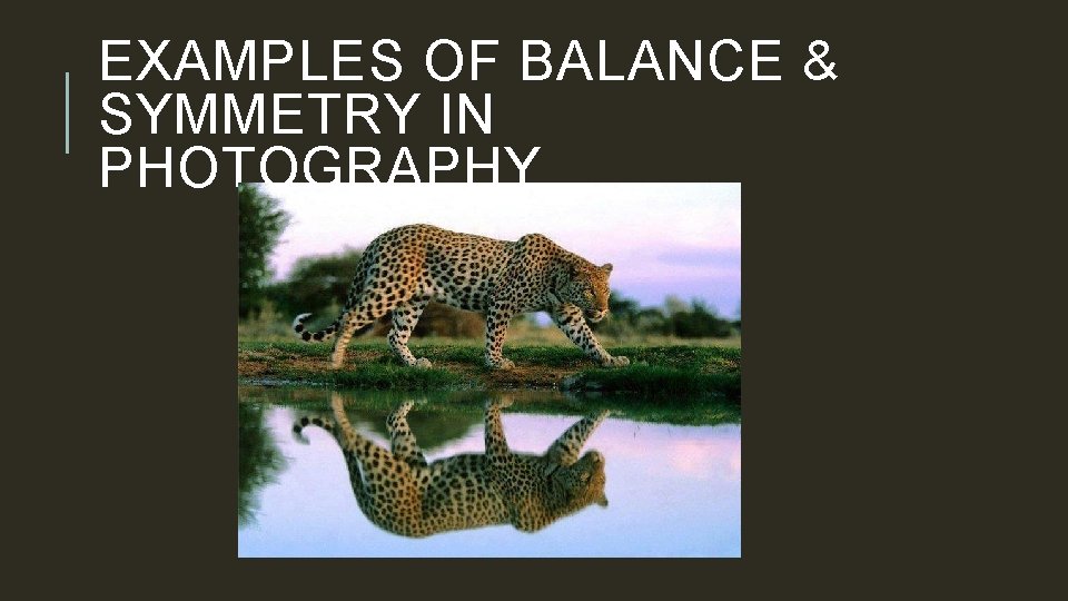 EXAMPLES OF BALANCE & SYMMETRY IN PHOTOGRAPHY 