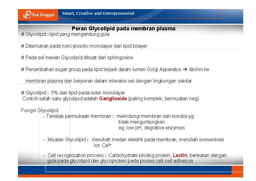 Peran Glycolipid pada membran plasma # Glycolipid : lipid yang mengandung gula # Ditemukan