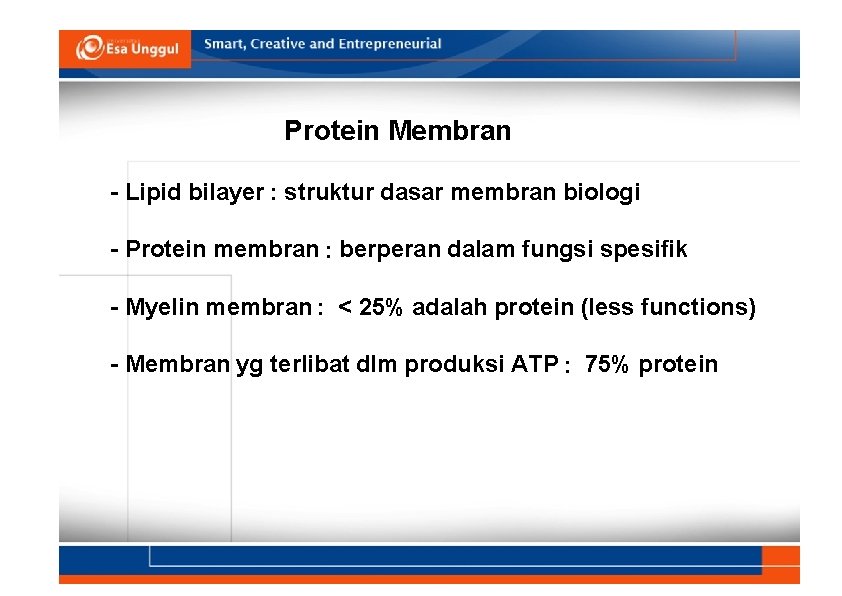 Protein Membran - Lipid bilayer : struktur dasar membran biologi - Protein membran :