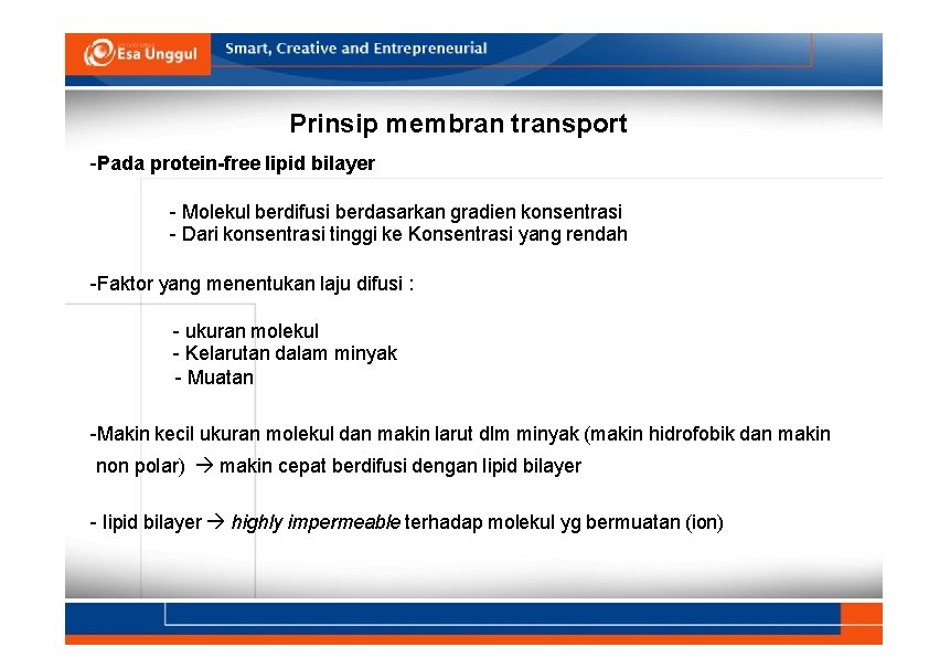Prinsip membran transport -Pada protein-free lipid bilayer - Molekul berdifusi berdasarkan gradien konsentrasi -