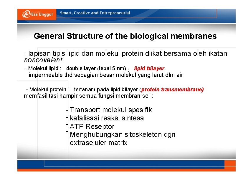 General Structure of the biological membranes - lapisan tipis lipid dan molekul protein diikat