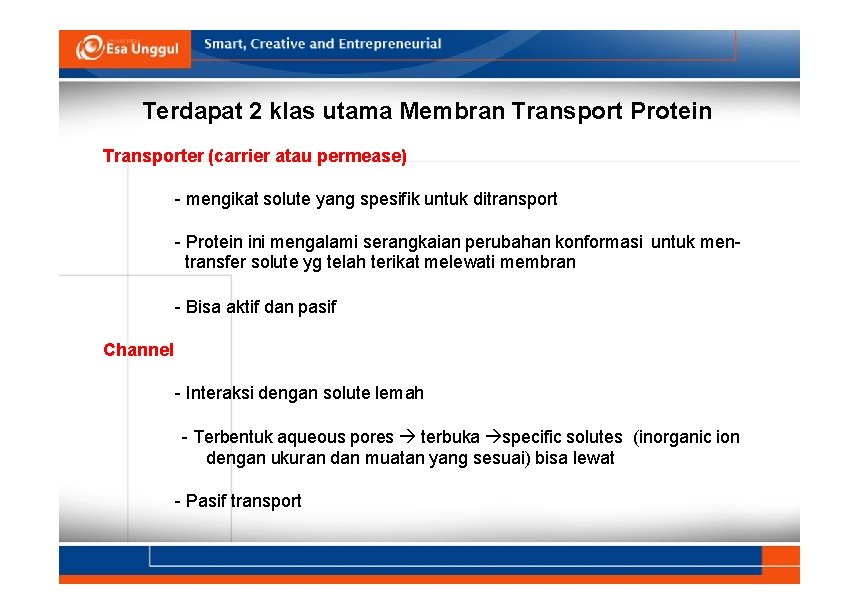 Terdapat 2 klas utama Membran Transport Protein Transporter (carrier atau permease) - mengikat solute