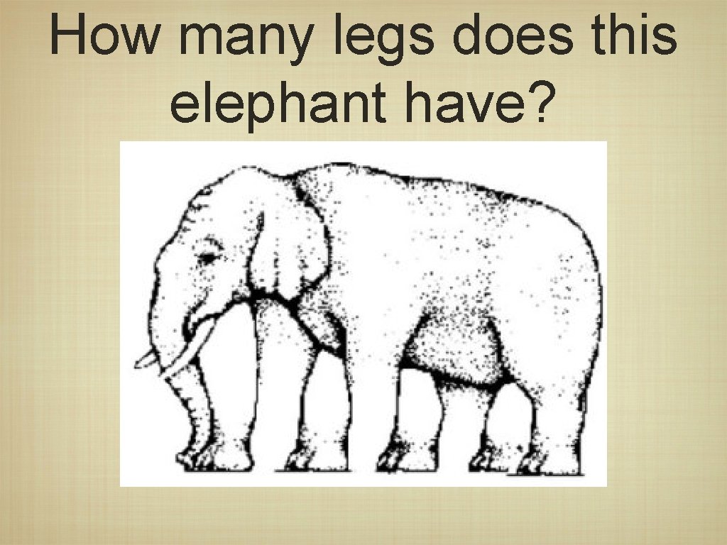 How many legs does this elephant have? 