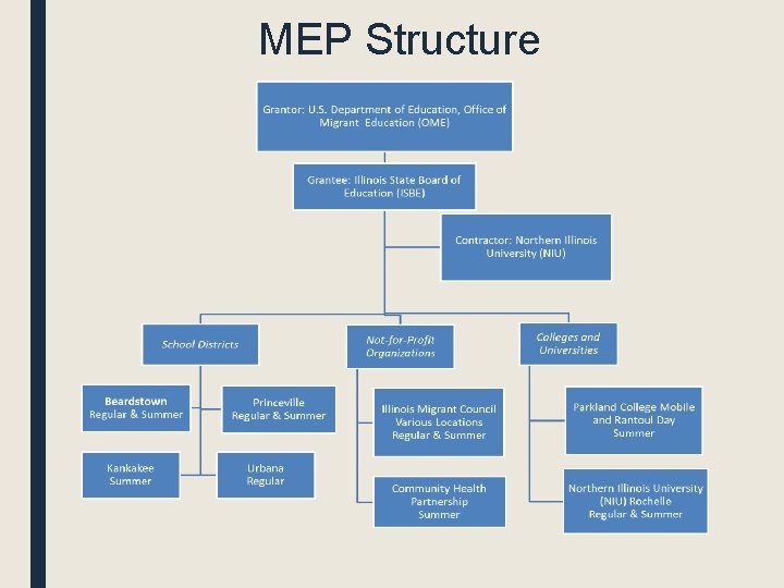 MEP Structure 