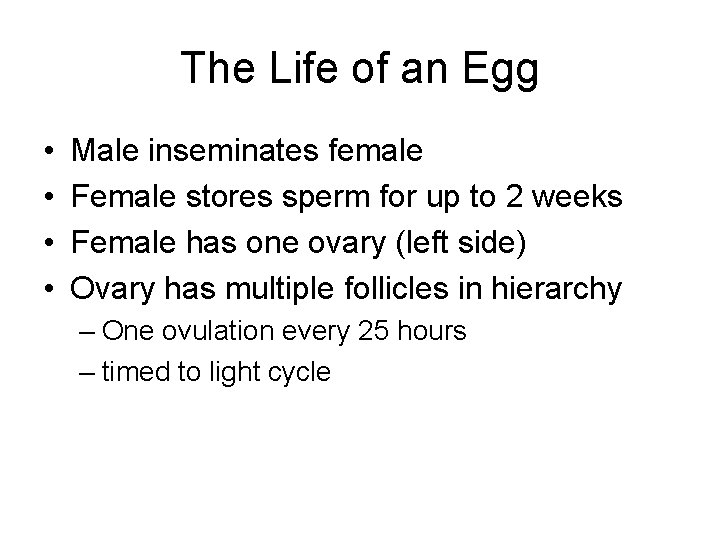 The Life of an Egg • • Male inseminates female Female stores sperm for