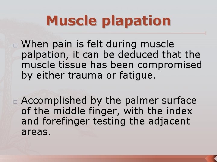 Muscle plapation � � When pain is felt during muscle palpation, it can be