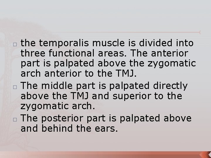 � � � the temporalis muscle is divided into three functional areas. The anterior