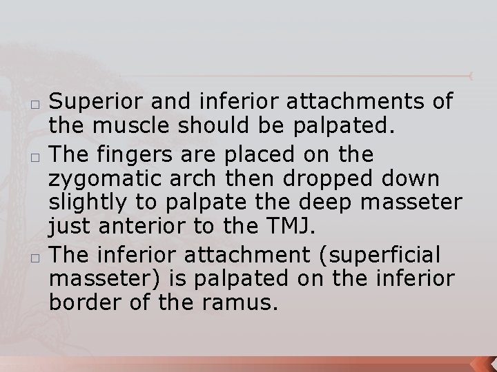 � � � Superior and inferior attachments of the muscle should be palpated. The