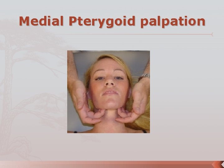 Medial Pterygoid palpation 