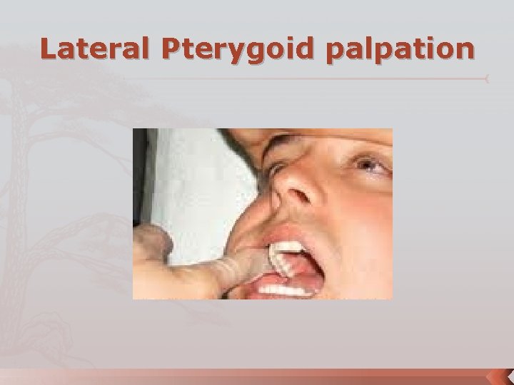 Lateral Pterygoid palpation 
