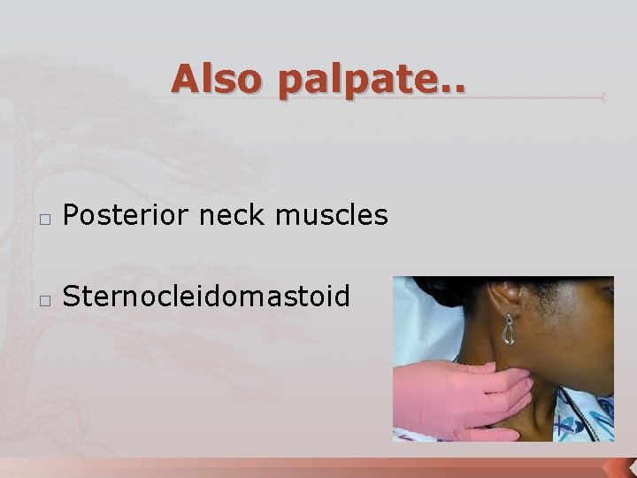 Also palpate. . � Posterior neck muscles � Sternocleidomastoid 