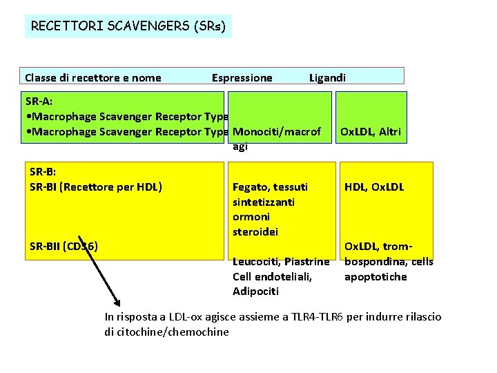 RECETTORI SCAVENGERS (SRs) Classe di recettore e nome Espressione Ligandi SR-A: • Macrophage Scavenger