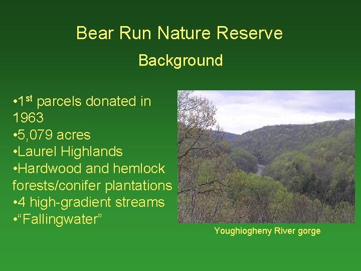 Bear Run Nature Reserve Background • 1 st parcels donated in 1963 • 5,